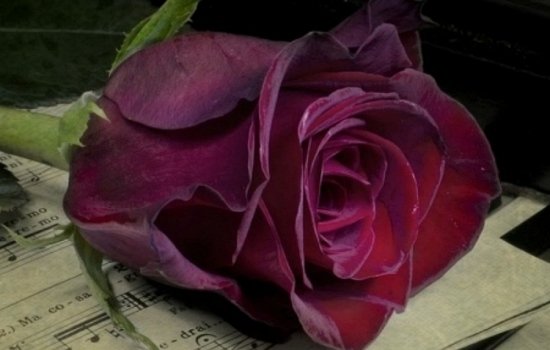 Media & Stationary Media & Stationary