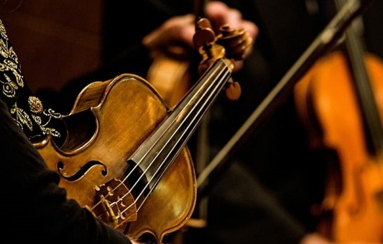 Newsletter Service Newsletter Service